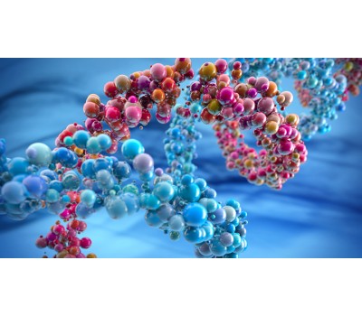 Immune System Strengthening